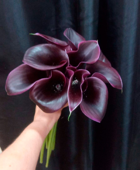 Comprar Ramo de Flores Purpura en Vitoria Gasteiz