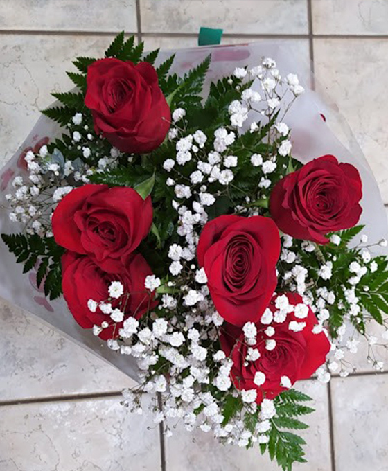 Comprar Ramo de Rosas Rojas en Vitoria Gasteiz